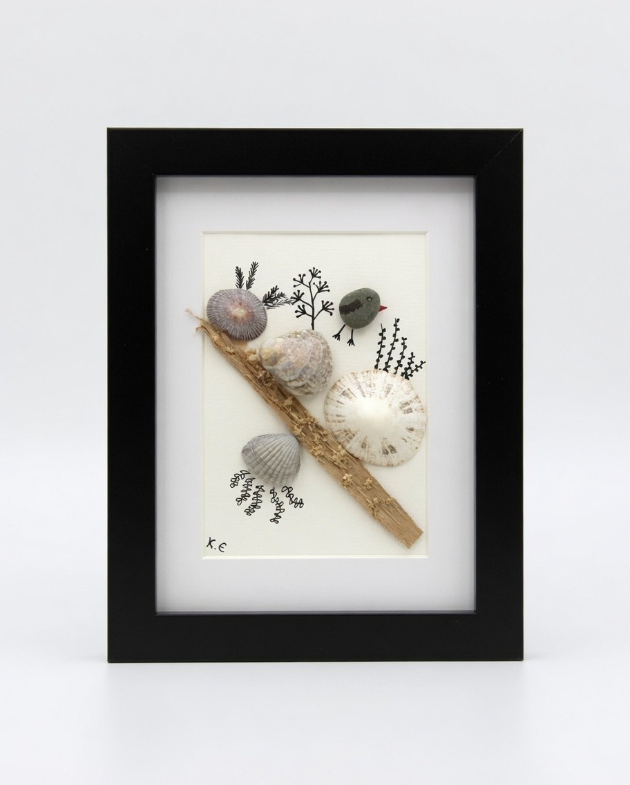 Des coquillages